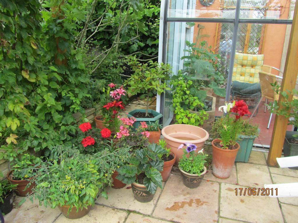 The Old Cider House Bed and Breakfast Nether Stowey Εξωτερικό φωτογραφία